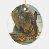 Bunny and Chipmunk Sharing Keramisch Ornament (Links)