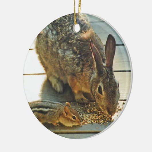 Bunny and Chipmunk Sharing Keramisch Ornament (Links)