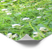 Bunny and Clover***** Poster (Hoek)