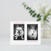 Bunny and French bulldog Briefkaart (Staand voorkant)