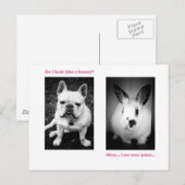 Bunny and French bulldog Briefkaart (Voorkant / Achterkant)