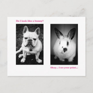 Bunny and French bulldog Briefkaart