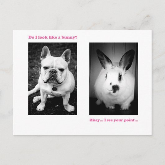 Bunny and French bulldog Briefkaart (Voorkant)