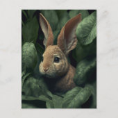 Bunny and plant postcard briefkaart (Voorkant)
