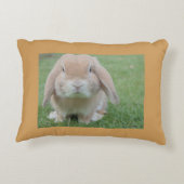 Bunny Art Kantoor Home Desk Destiny's Destiny Accent Kussen (Achterkant)