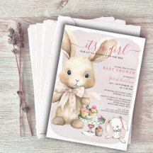 Bunny Baby shower Meisje
