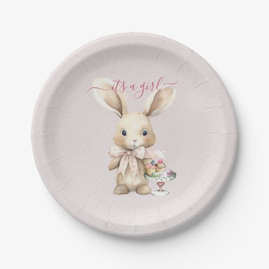 Bunny Baby shower Meisje Papieren Bordje (Voorkant)