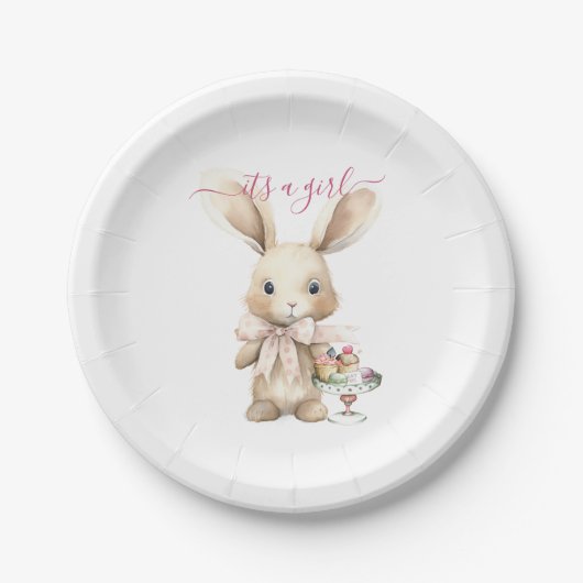 Bunny Baby shower Meisje Papieren Bordje (Voorkant)