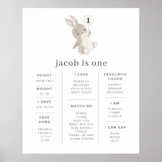 Bunny Balloon Poster (Voorkant)