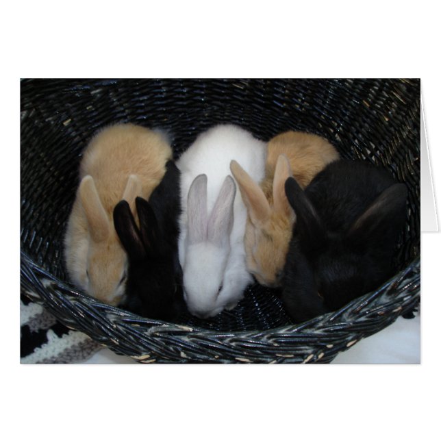 Bunny Basket (Voorkant Horizontaal)