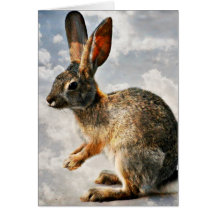 Bunny bidden in de Heavens