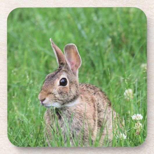 Bunny Bier Onderzetter (Voorkant)