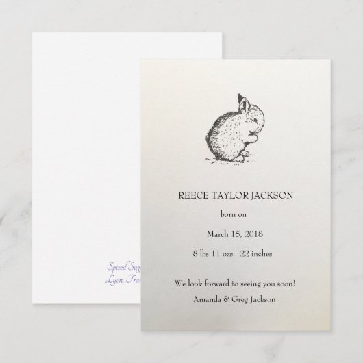 Bunny Birth Announcement, Klassiek, Traditioneel Aankondiging (Voorkant / Achterkant)
