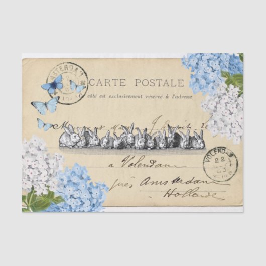  Bunny Blue Floral Paris Post Tissue Paper Tissuepapier (Voorkant)