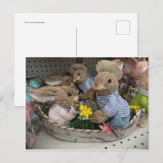 Bunny Boat Briefkaart (Voorkant / Achterkant)