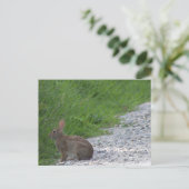 Bunny Briefkaart (Staand voorkant)