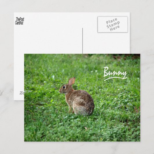 Bunny Briefkaart (Voorkant / Achterkant)