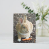Bunny Briefkaart (Staand voorkant)