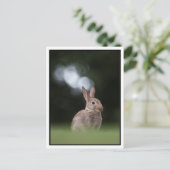 Bunny Briefkaart (Staand voorkant)