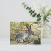 Bunny Briefkaart (Staand voorkant)