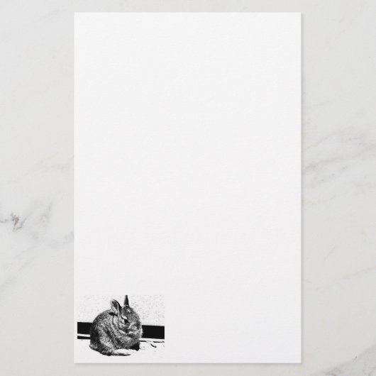 Bunny-briefpapier Briefpapier (Voorkant)