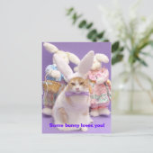 Bunny Bubba 3 Briefkaart (Staand voorkant)