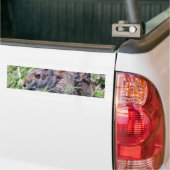 Bunny Bunnies Rabbits Bumpersticker (Op Truck)