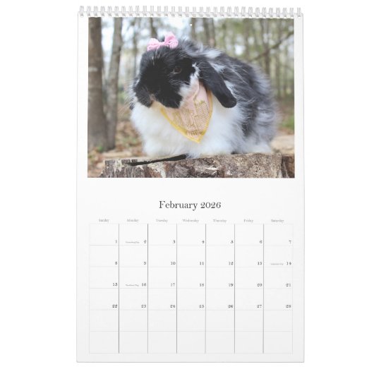 Bunny Calendar Kalender (Feb 2026)