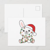 Bunny Christmas Winter Dieren Vakantie Bunnies Feestdagenkaart (Voorkant / Achterkant)
