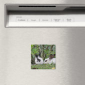 Bunny Couple Magneet (Insitu (Vaatwasser))