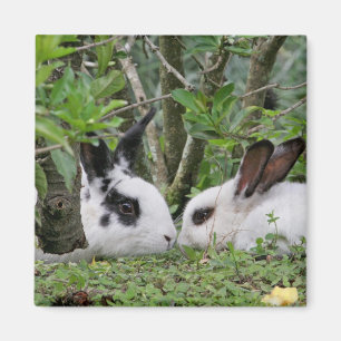 Bunny Couple Magneet