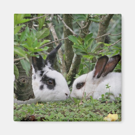 Bunny Couple Magneet (Voorkant)