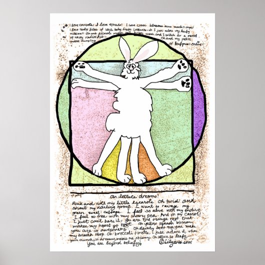 Bunny DaVinci-Poster en afdrukken Poster (Voorkant)