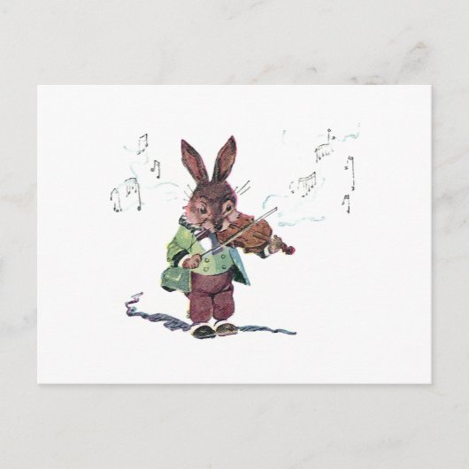 Bunny die het Violin speelt Briefkaart (Voorkant)