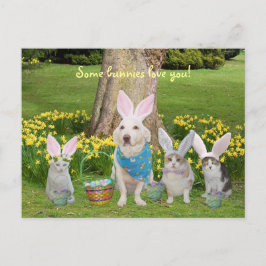 Bunny Dog met Bunny Cats Feestdagenkaart