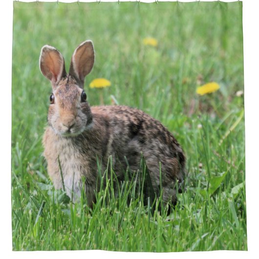 Bunny Douchegordijn (Voorkant)