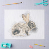 Bunny Drawing Tissuepapier (Craft)