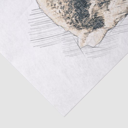 Bunny Drawing Tissuepapier (Detail)