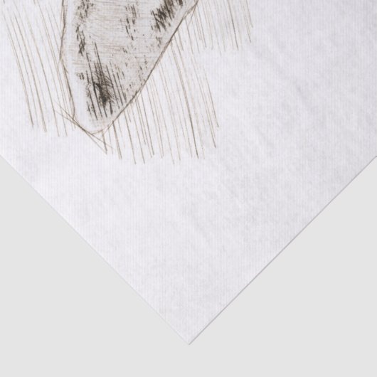 Bunny Drawing Tissuepapier (Detail)