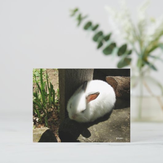 Bunny Dreams briefkaarten (Staand voorkant)