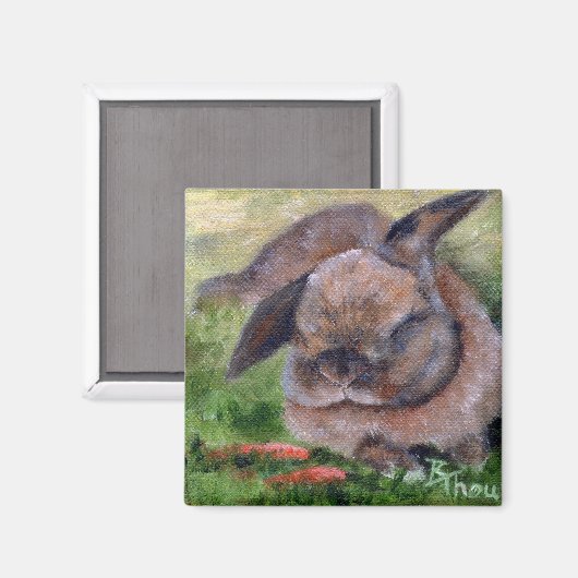 Bunny Dreams Magneet (Voorkant / Achterkant)