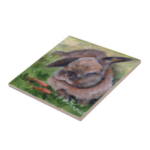 Bunny Dreams Tile Tegeltje