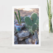 Bunny Ears Cactus en Eve's Pin Cactus Plant Kaart (Voorkant)