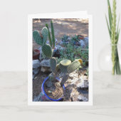 Bunny Ears Cactus Plant Kaart (Voorkant)