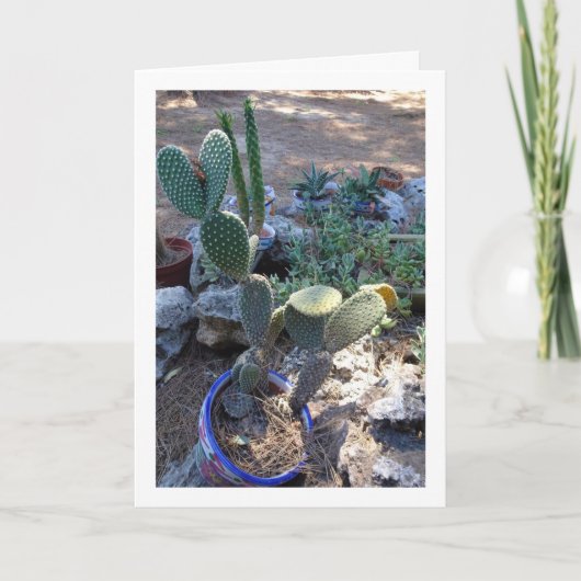 Bunny Ears Cactus Plant Kaart (Voorkant)