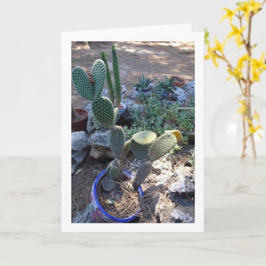 Bunny Ears Cactus Plant Kaart (Gele Bloem)