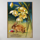 Bunny, Eieren en Snowdrops,  1910 Poster (Voorkant)