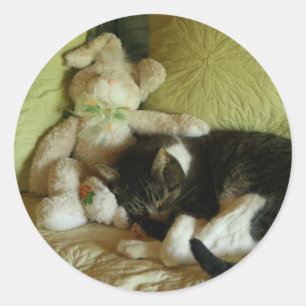 Bunny- en kat-stickers ronde sticker