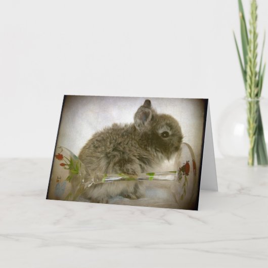 Bunny- en wijnglas kaart (Voorkant)