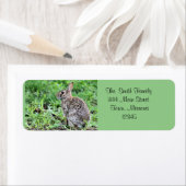 Bunny Etiket (Insitu)